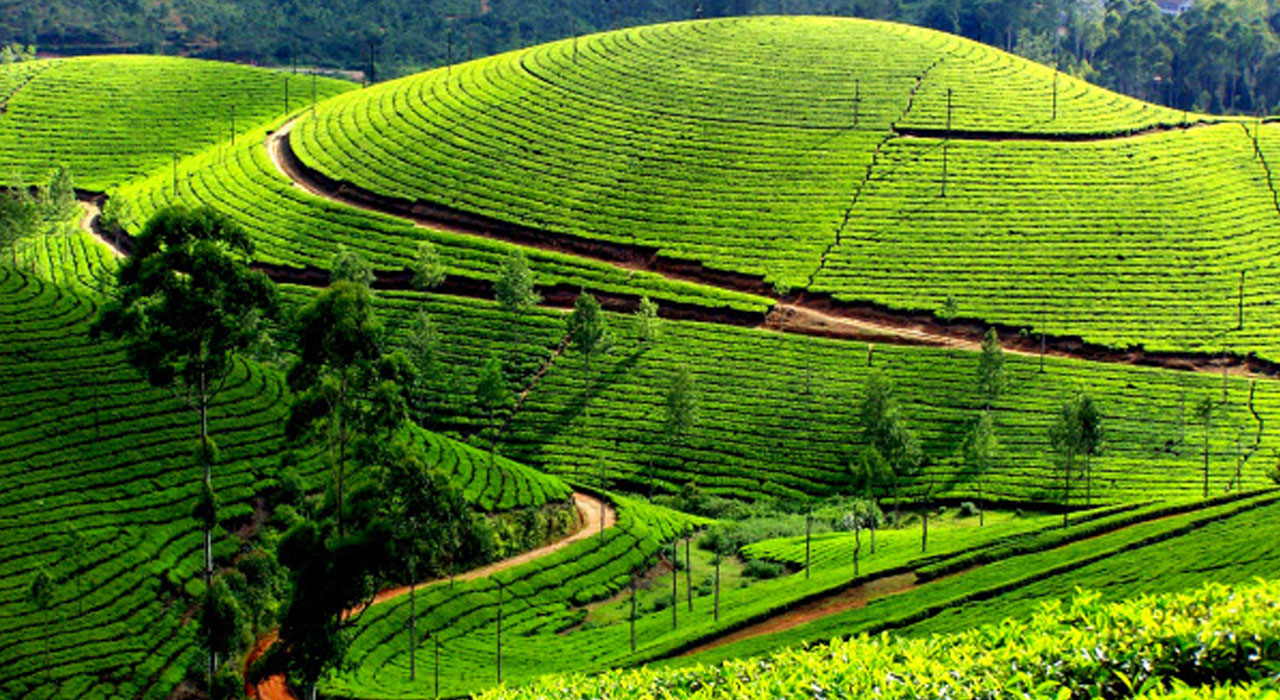 keralatour